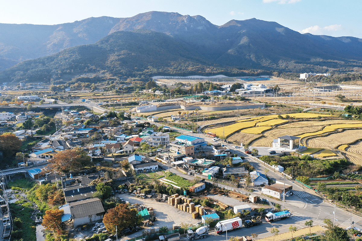 주진(중)마을과 당산나무 항공사진