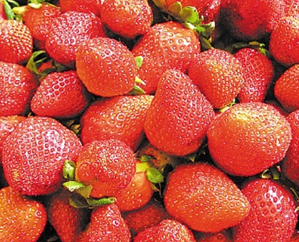 Wondong Strawberries