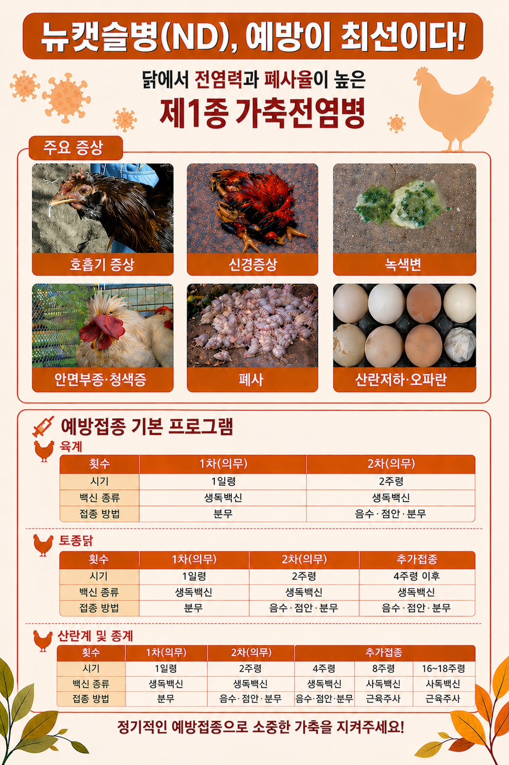뉴캣슬병 주요 증상 및 예방접종 기본 프로그램