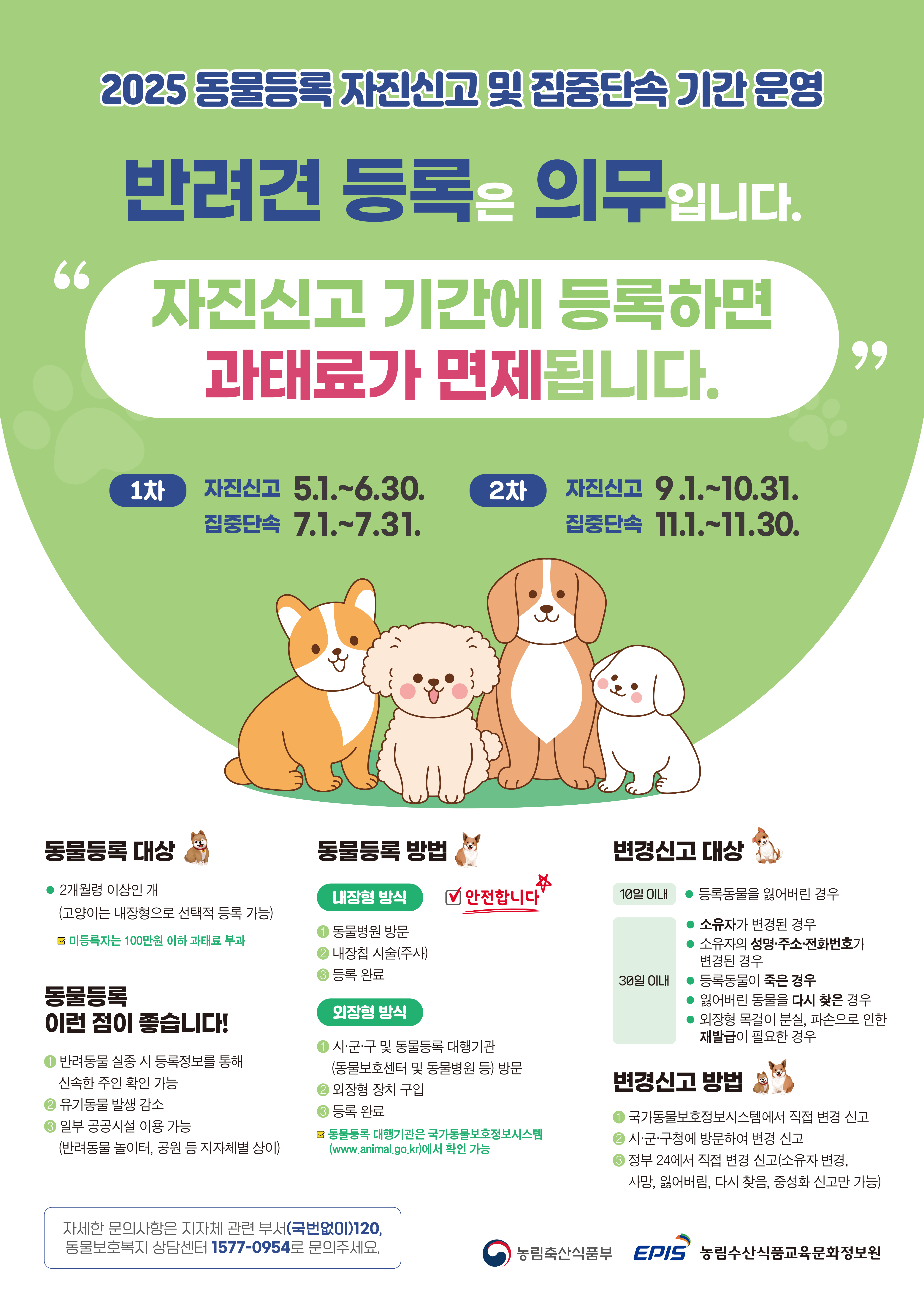 2025년 동물등록 자진신고 및 집중단속 기간 운영