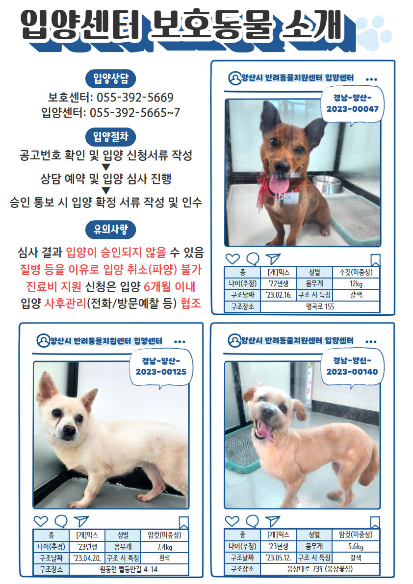 보호동물 현황 240812 기준(1)