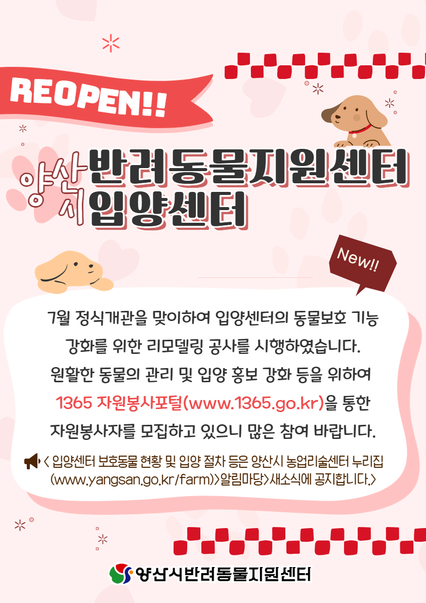 보호동물 현황 240812 기준(4)