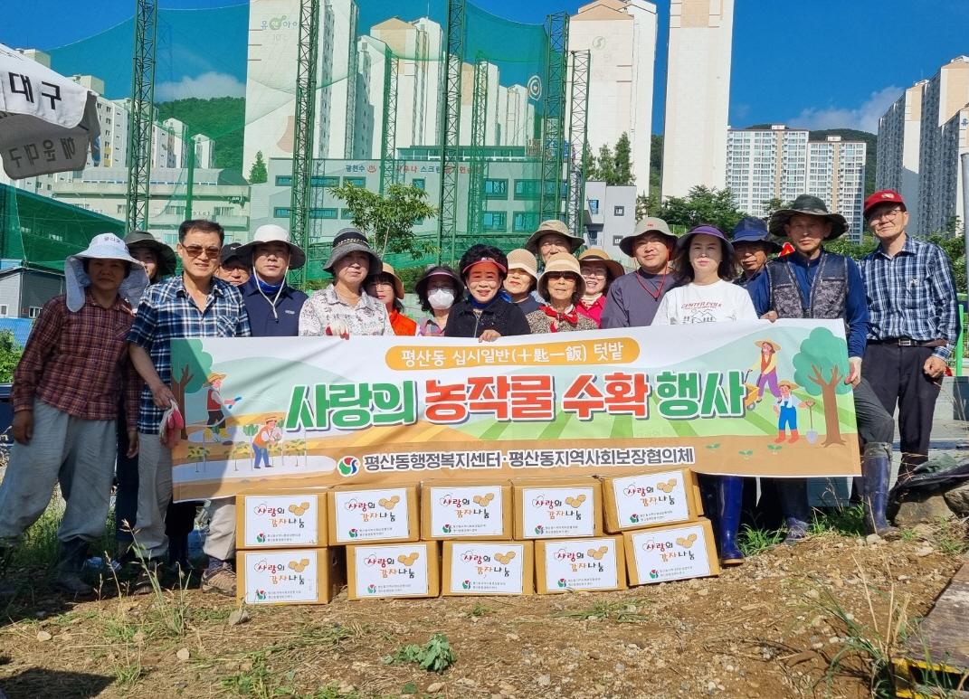 &lsquo;사랑의 감자 수확 및 나눔 행사&rsquo;실시