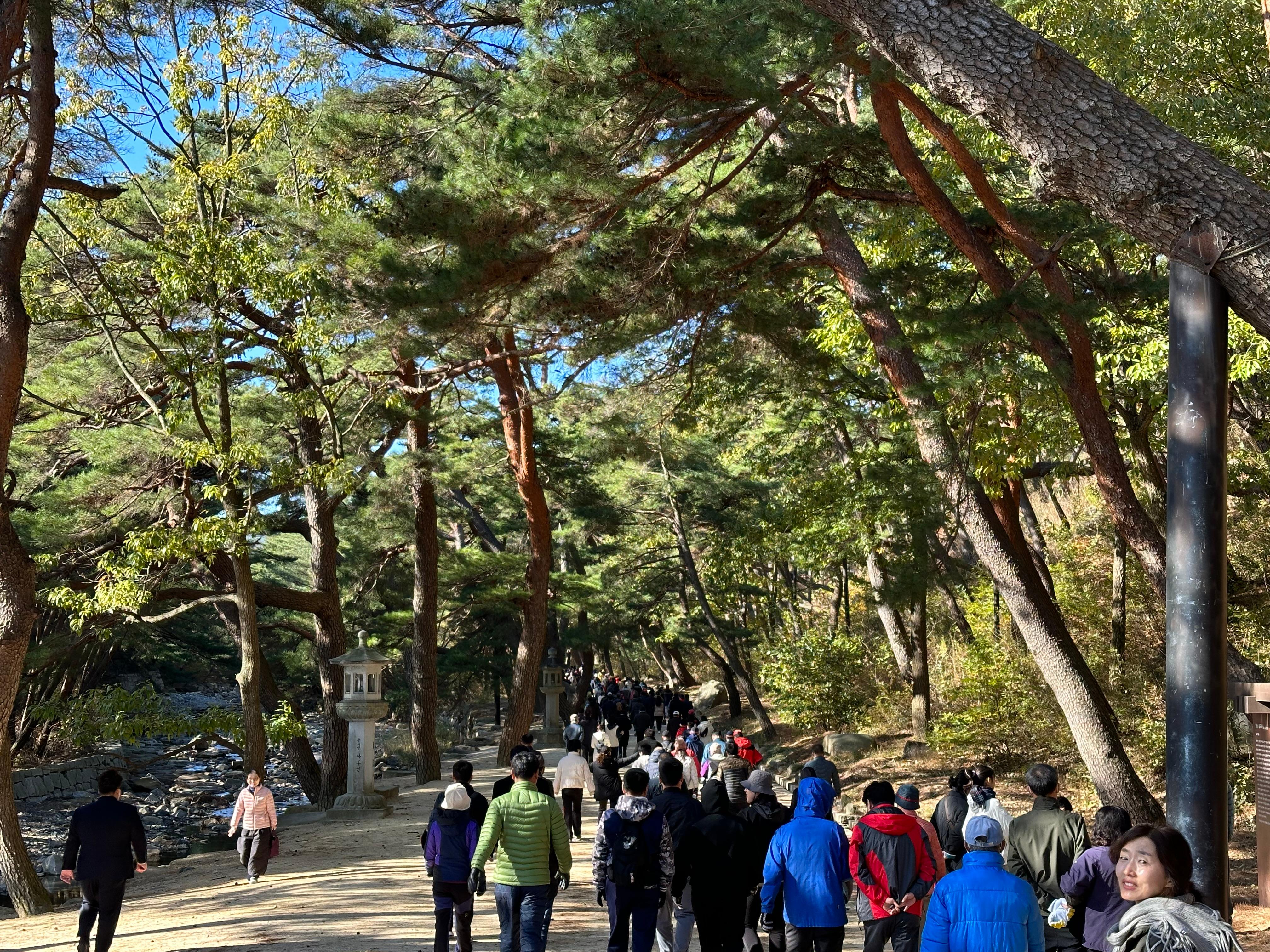 2023.11.19.(일) 제11회 통도사순례 가족사랑 건강걷기대회