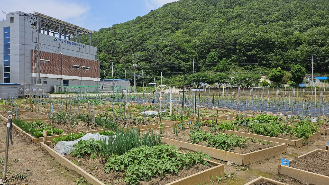 가족사랑 텃밭교실(텃밭)