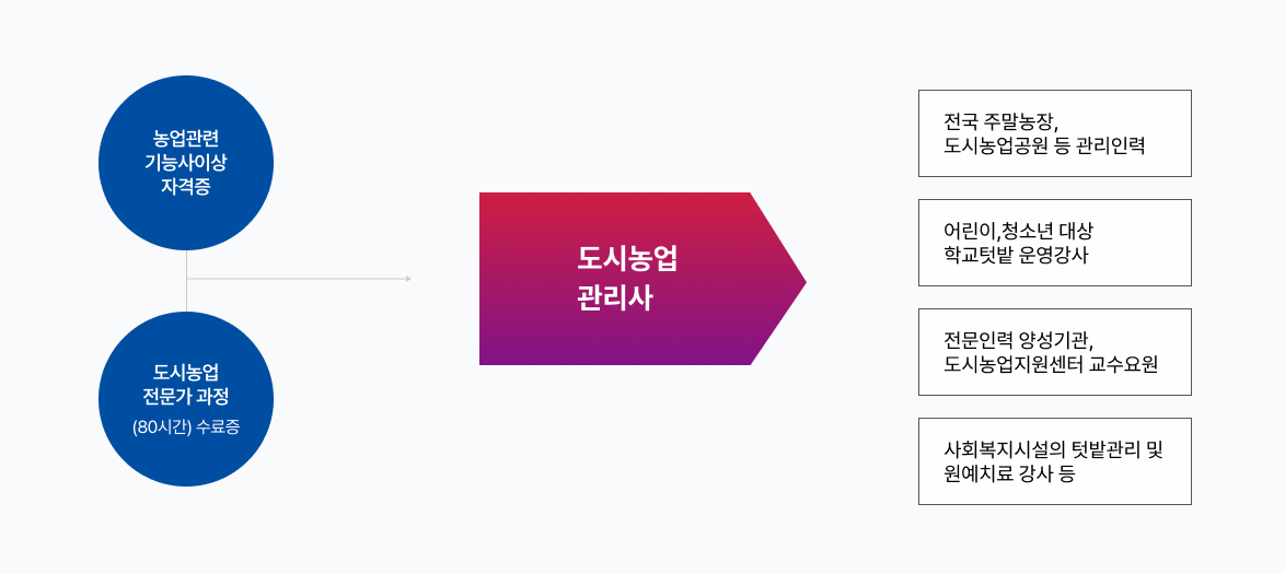 농업관련기능사이상자격증+도시농업전문가 과정(80시간)수료증 → 도시농업관리사 → 전국 주말농장, 도시농업공원 등 관리인력, 어린이,청소년 대상 학교텃밭 운영강사, 전문인력 양성기관, 도시농업지원센터 교수요원, 사회복지시설의 텃밭관리 및 원예치료 강사 등