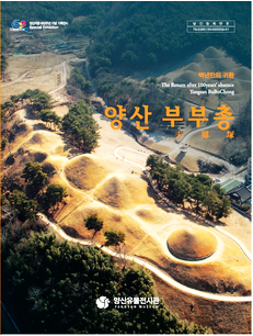 백년만의 귀환 양산 부부총