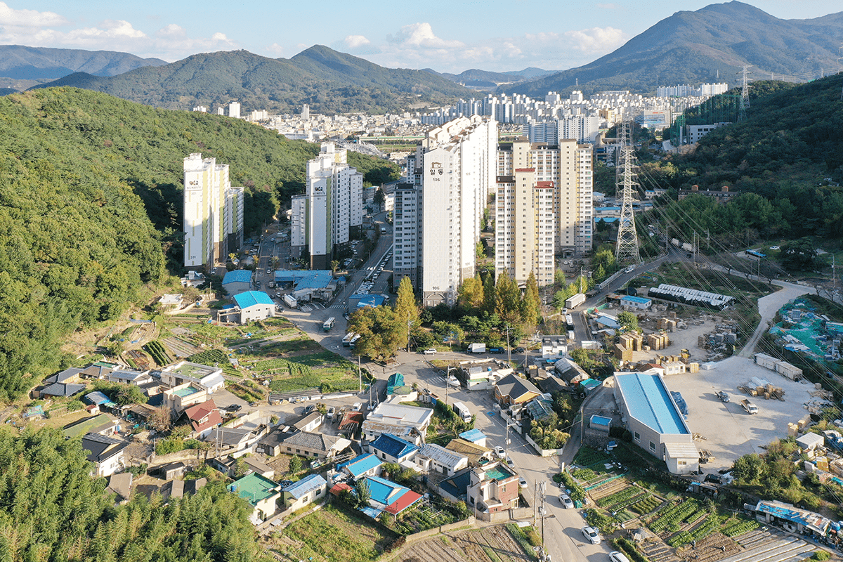 회현마을과 당산나무 항공사진