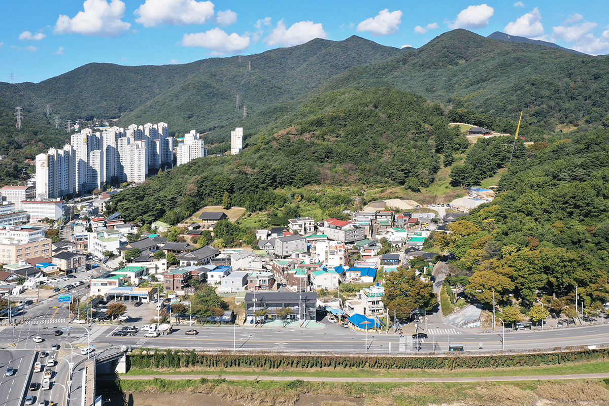 교동마을과 당산나무 항공사진