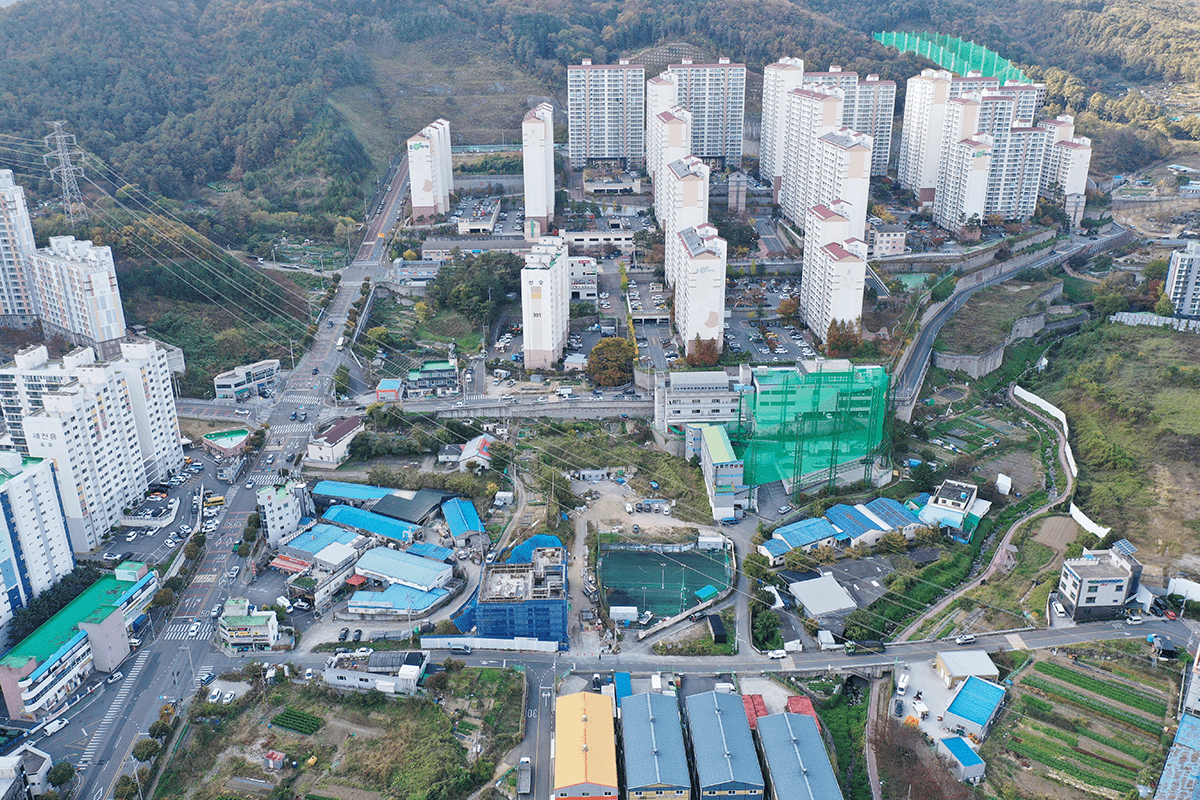 평산마을과 당산나무 항공사진