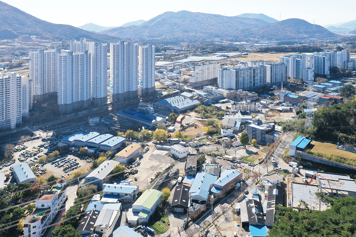 내연마을과 당산나무 항공사진