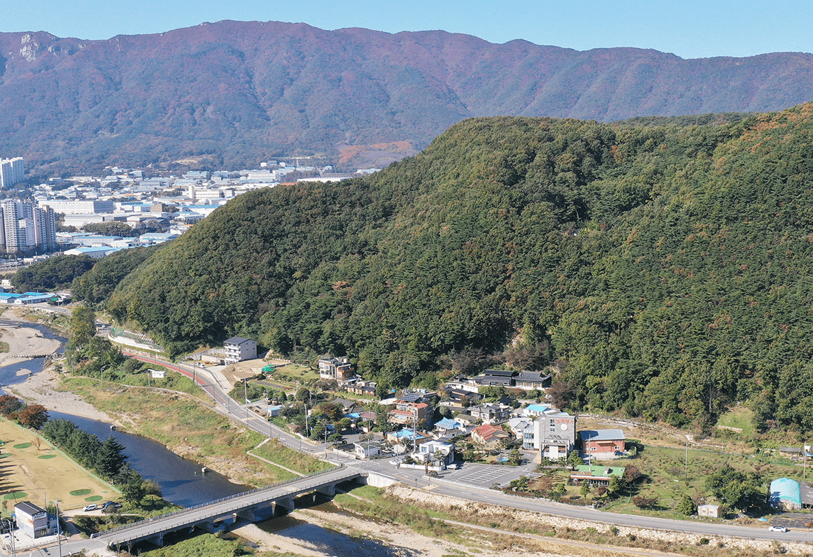 용암마을과 당산나무 항공사진