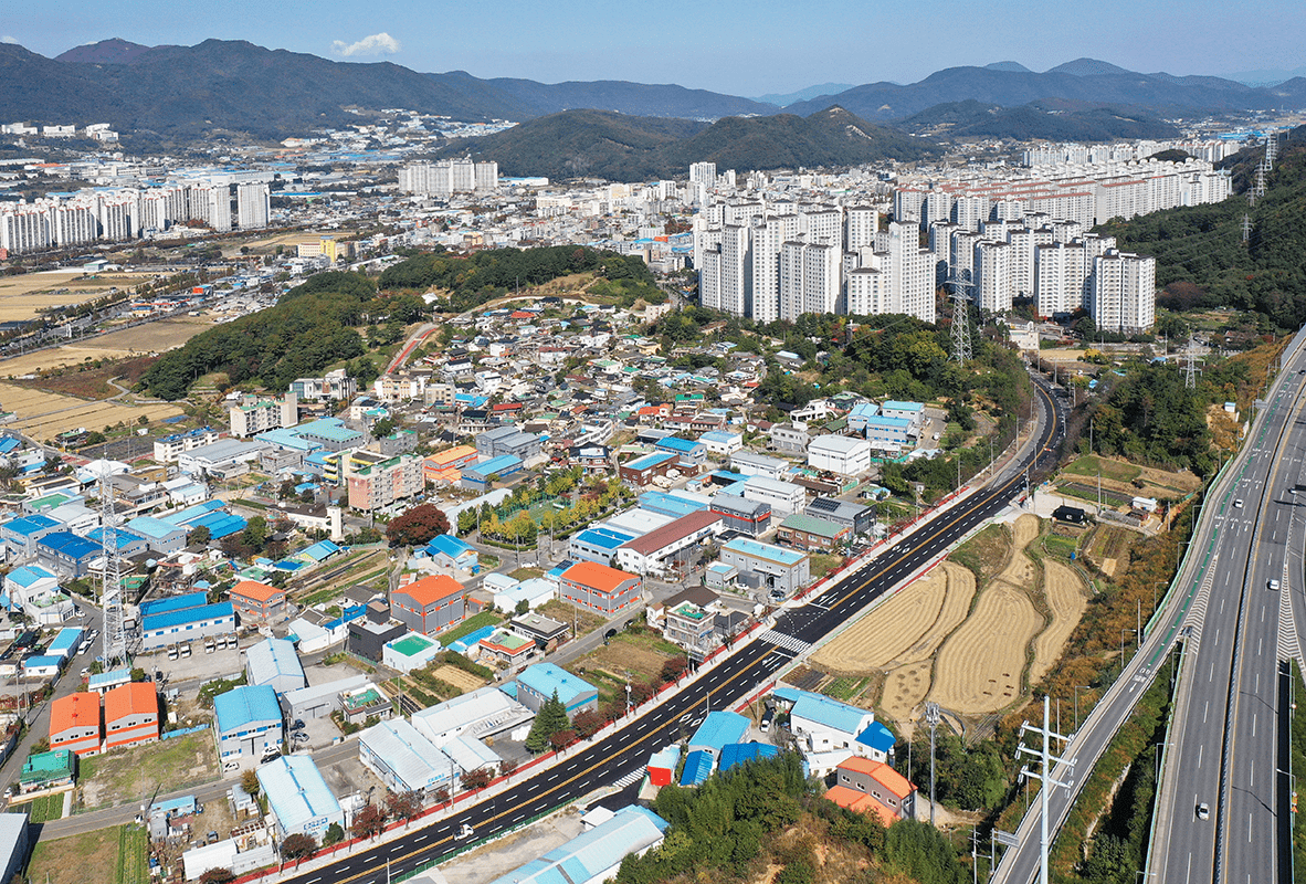 명동마을과 당산나무 항공사진