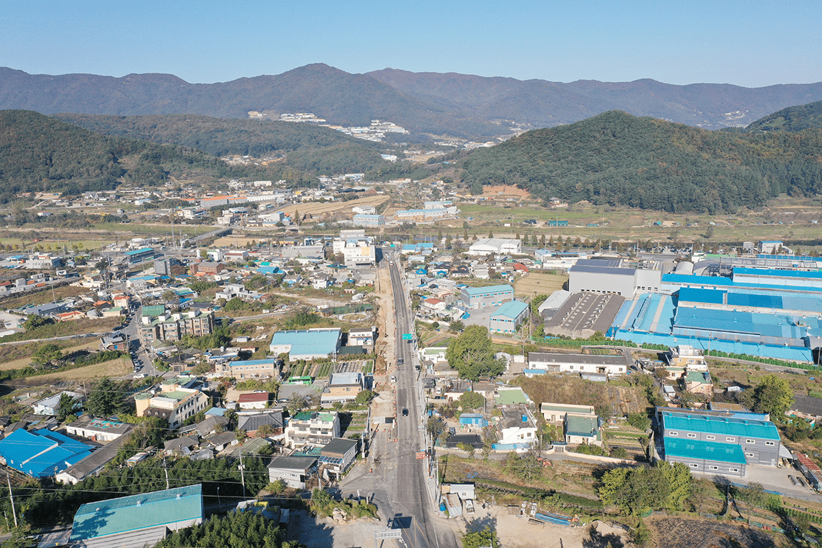 용당마을과 당산나무 항공사진