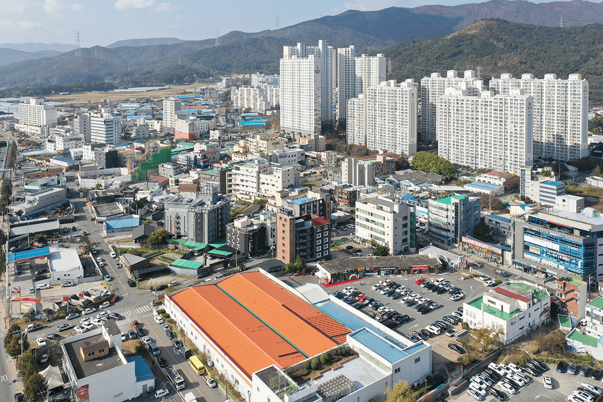 조평마을과 당산나무 항공사진