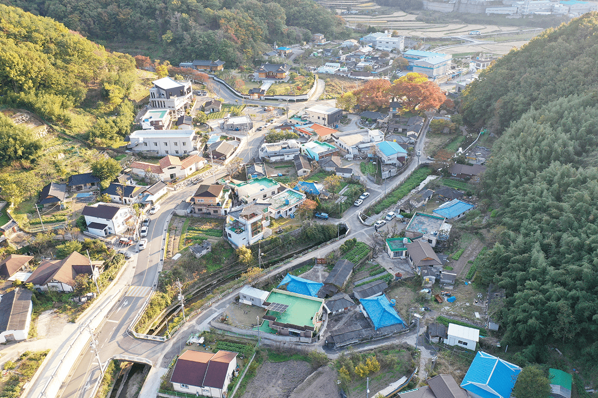 매곡마을과 당산나무 항공사진