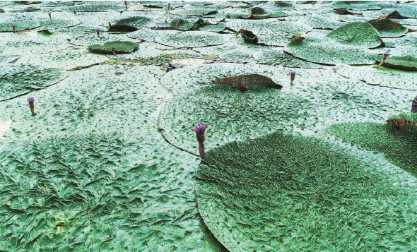 1-%EA%B0%80%EC%8B%9C%EC%97%B0%EA%BD%83%E