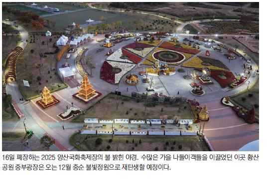 연장 국화향연 16일 종료- 12월 중순 불빛정원으로 