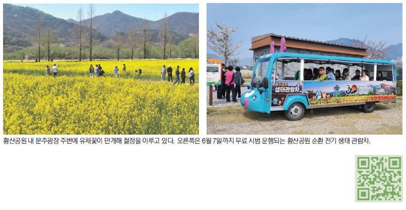 꽃도 보고, 관람차도 타고, 이색 체험에 운동까지