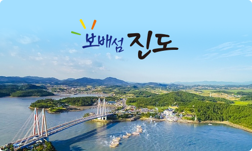 전라남도 진도군