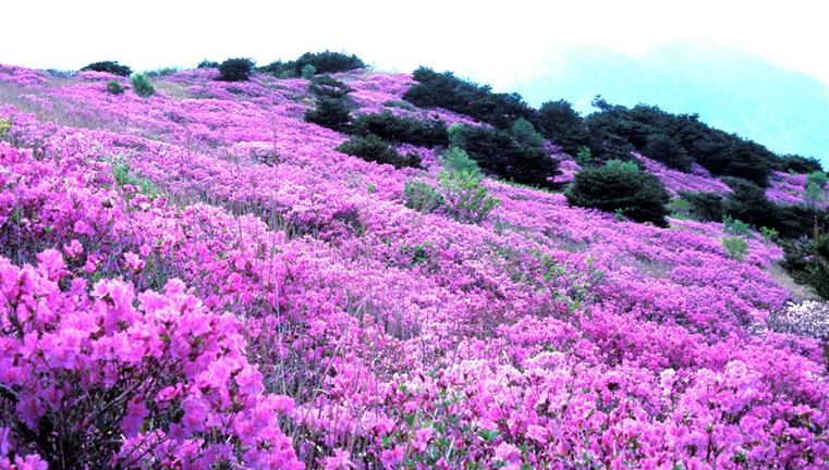千聖山（チョンソンサン）09
