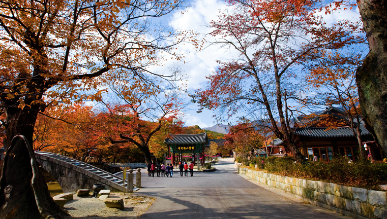 Tongdosa Temple04