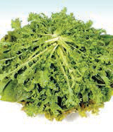 I-PARANG水培园绿色蔬菜