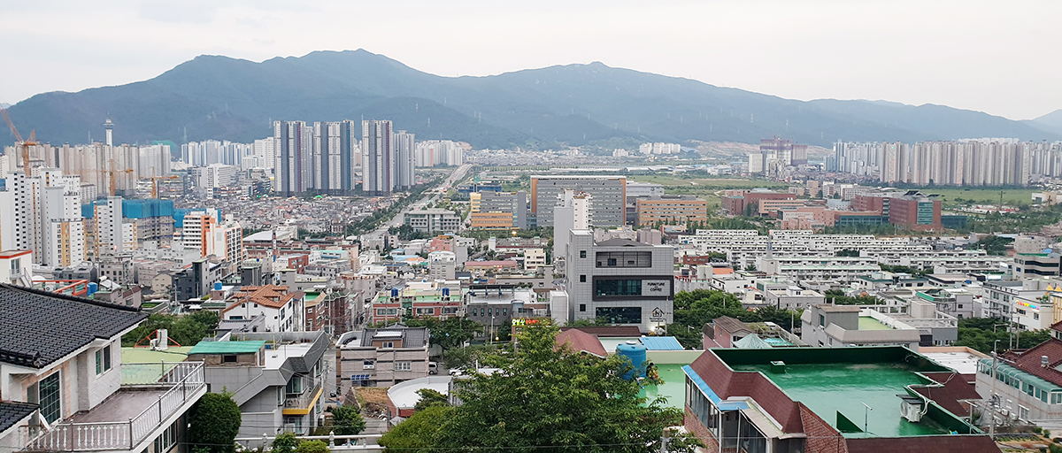 관련이미지