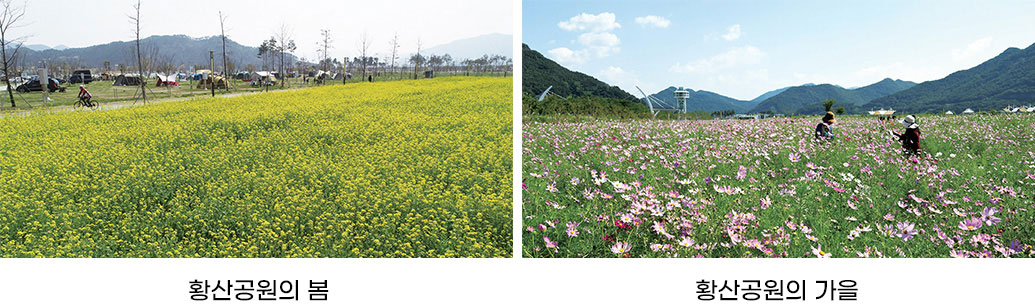 황산공원의 봄 / 황산공원의 가을