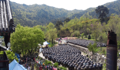 서운암들꽃죽제 이미지